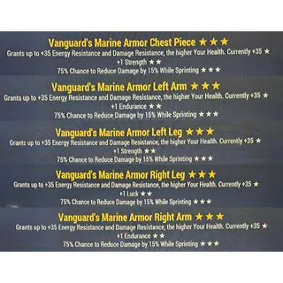 vanguard cavalier marine armor set