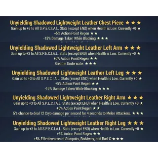 unyielding ap leather armor set