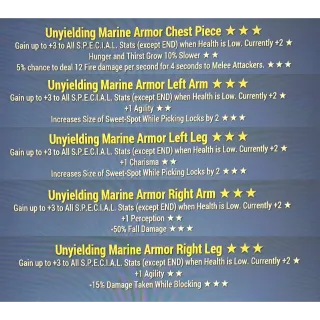 unyielding marine armor set