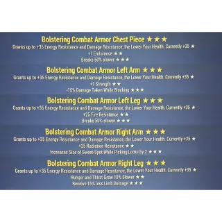 bolstering combat armor set