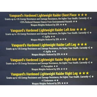 vanguard wwr raider armor set