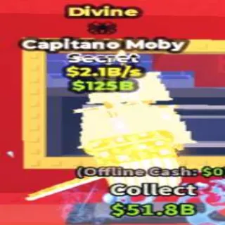 Capitano Divine 2.1B/S