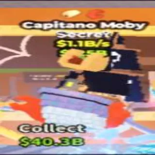 Capitano 1.1B/S
