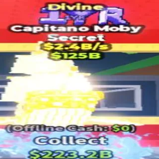 Capitano Divine 2.4B/S