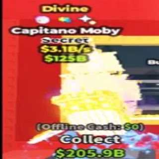 Capitano Divine 3.1B/S