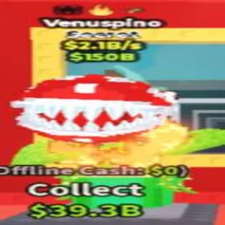 Venuspino 2.1B/S