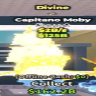Capitano Divine 2B/S