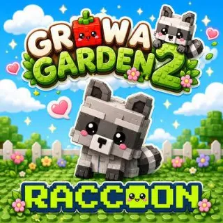x1 Raccon