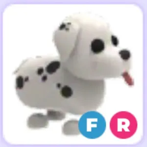 FR DALMATIAN