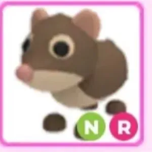 NR SHREW