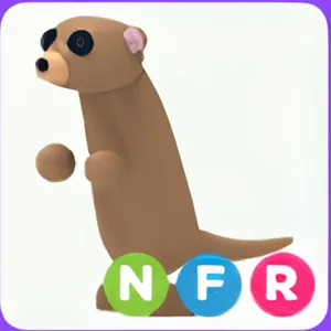 NFR MEERKAT