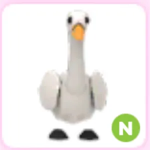 SWAN N (no pot)
