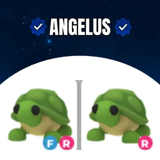 2x Turtle | Budle adopt me | Turtle FR + Turtle R