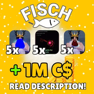 FISCH PACKAGE BUNDLE