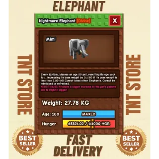 NIGHTMARE ELEPHANT