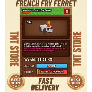 HUGE NIGHTMARE FRENCH FRY FERRET