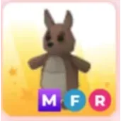 MFR KANGAROO