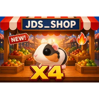 4x Tortoiseshell Guinea Pig