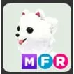 mfr samoyed