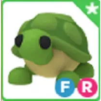 FR TURTLE