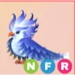 NFR FROST PHOENIX / NEON FROST PHOEN