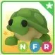 NFR TURTLE