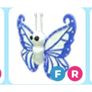 Fr Diamond Butterfly