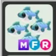mfr many mackerel