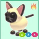 nfr siamese cat / neon siamese cat