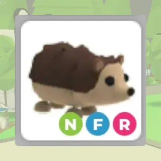 nfr hedgehog