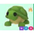 MFR TURTLE