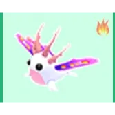 sea slug