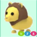 nfr lion