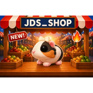 Tortoiseshell Guinea Pig