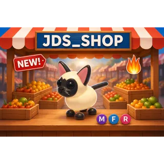 mfr siamese cat / mega siamese cat