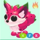 NFR DRAGONFRUIT FOX