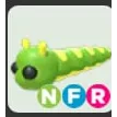 NFR CATERPILLAR