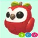nfr apple owl/ neon apple owl