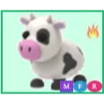 MFR COW