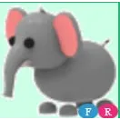 FR ELEPHANT