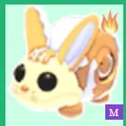 MFR BUNNY SWIRL / MEGA BUNNY SWIRL