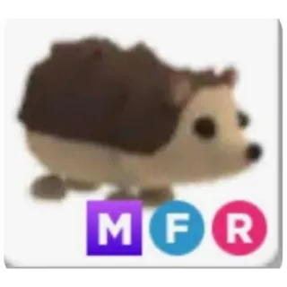mfr hedgehog