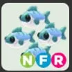 nfr many mackerel