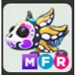 mfr sugar axolotl
