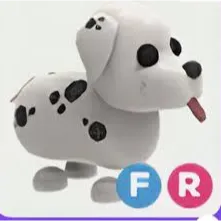 FR DALMATIAN