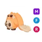 mfr cabbit