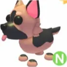 NEON German Shepherd