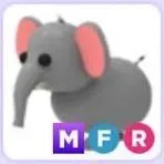 mfr elephant