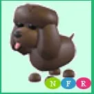 NFR IRISH SPANIEL
