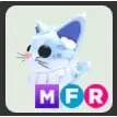 mfr maine coon